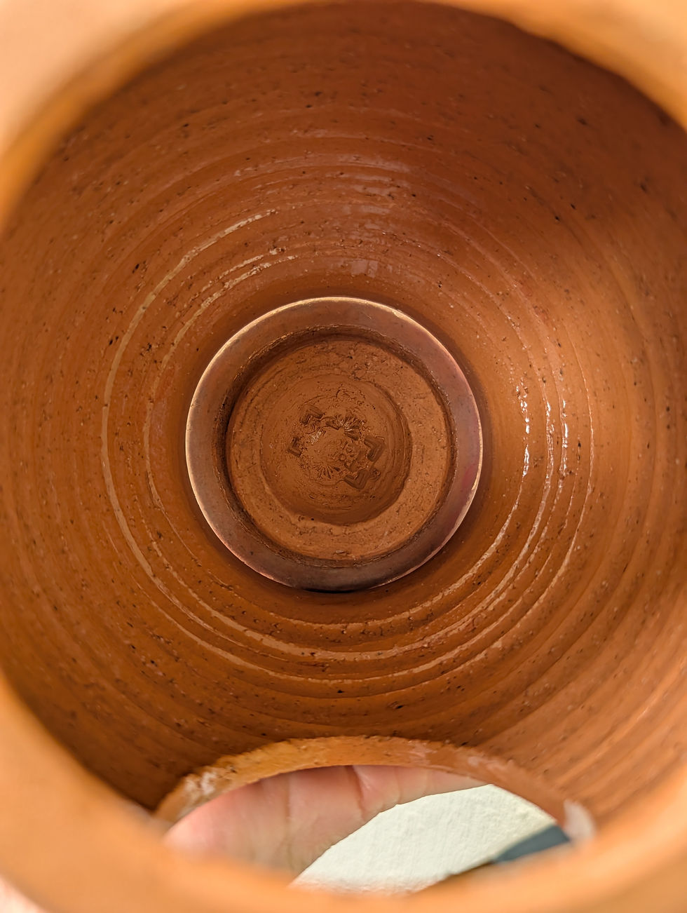 Miniaturbild: Pot Marigold Versteck klein