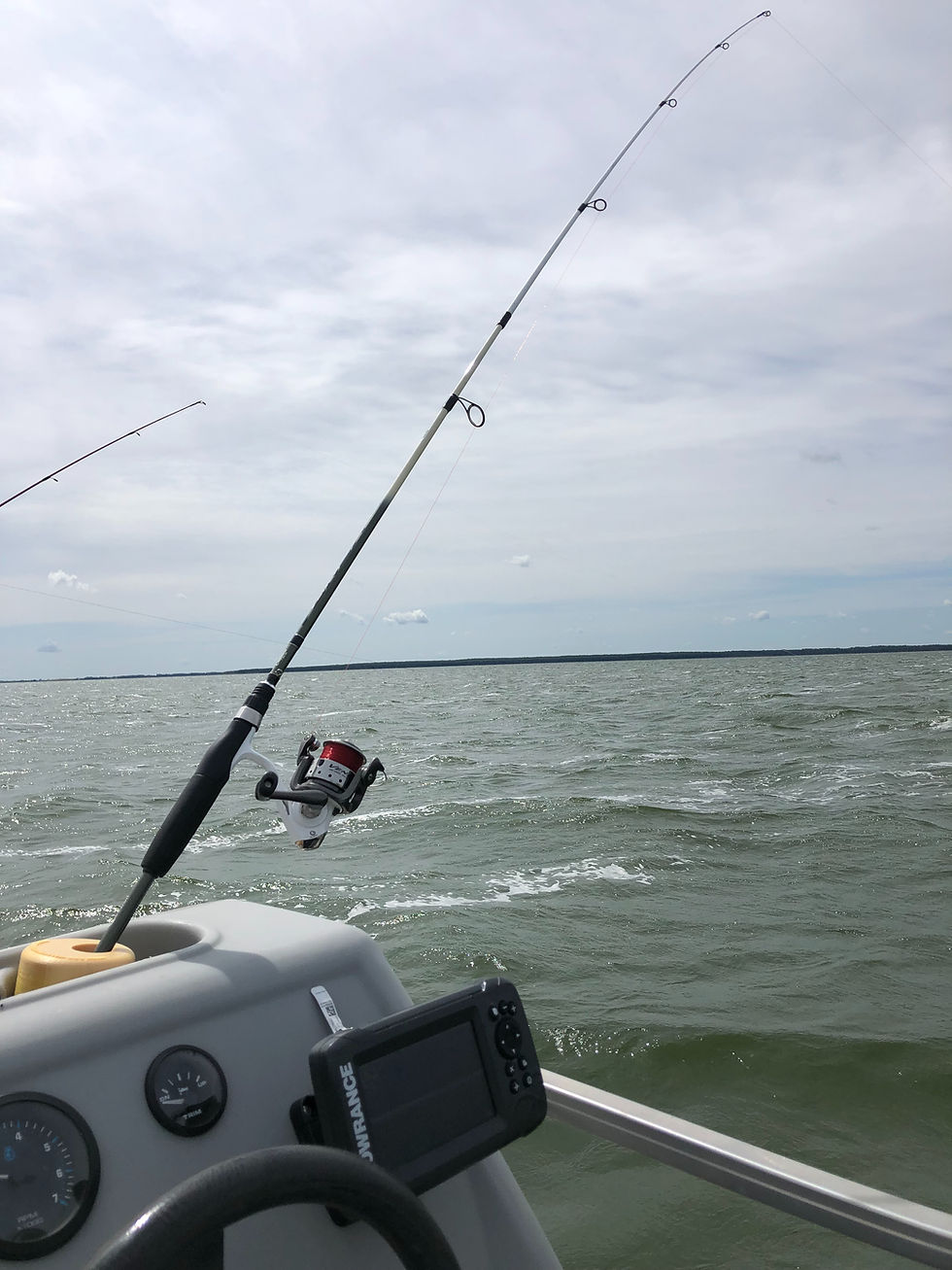 Thumbnail: Cup Holder Rod Holder