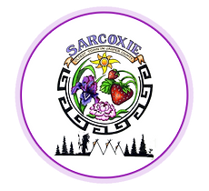 Sarcoxie Logo Network.png