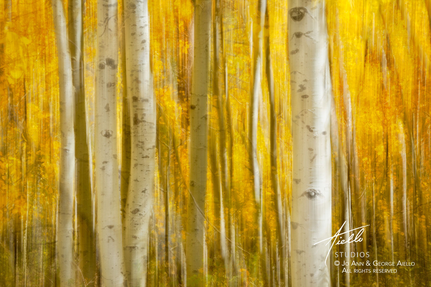 Aspens Motion Blur #0314-0315
