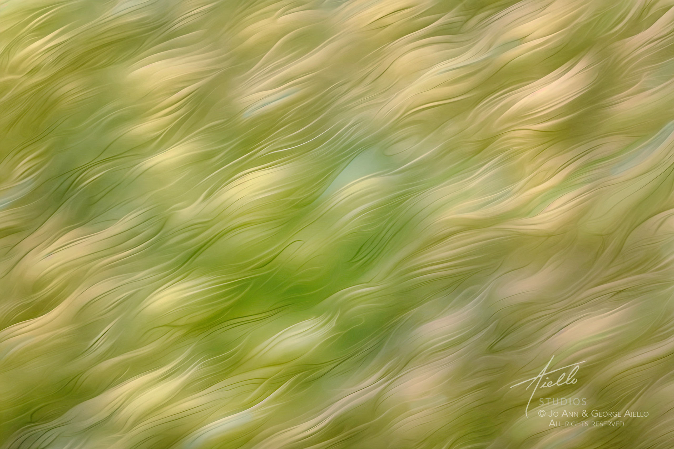 Red Hills ICM Shribs Reimagined #DA65