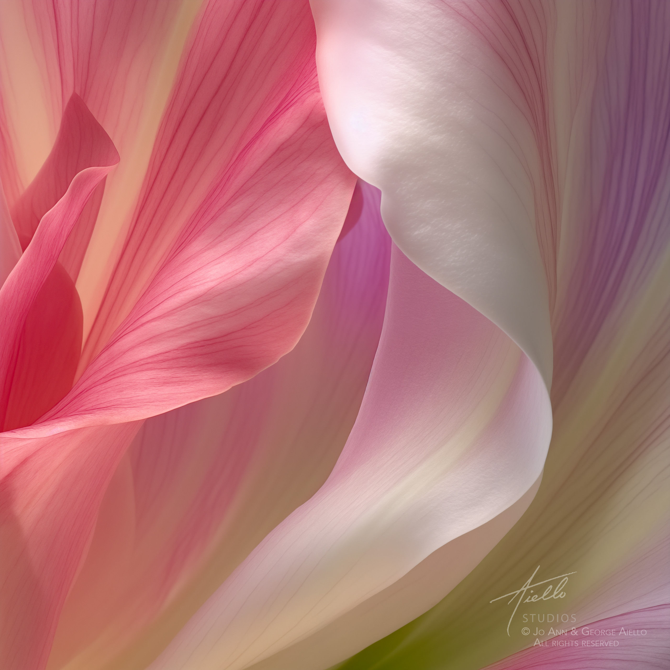 Floral Fantasy #DA28