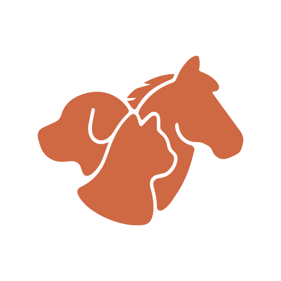 AD-ICONAA-ANIMALC2_4x.png