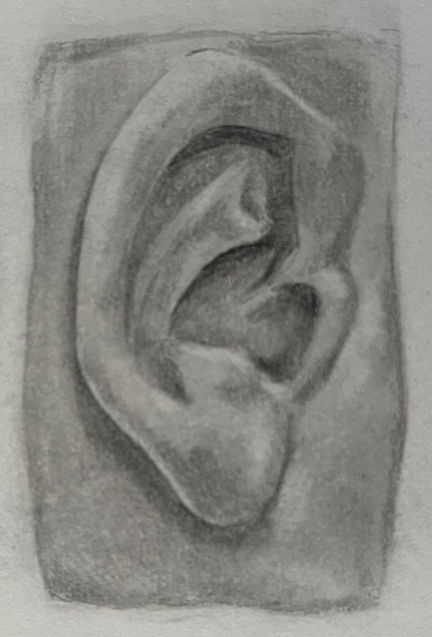 Graphite Ear