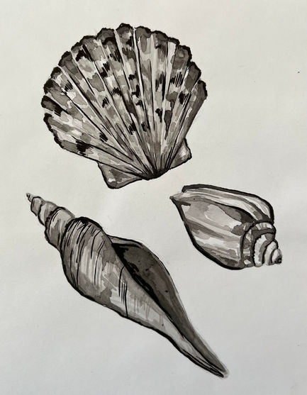 Ink Seashells