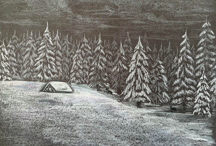 Black and White Snowscape