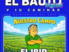 La referencia catastral en el IBIR