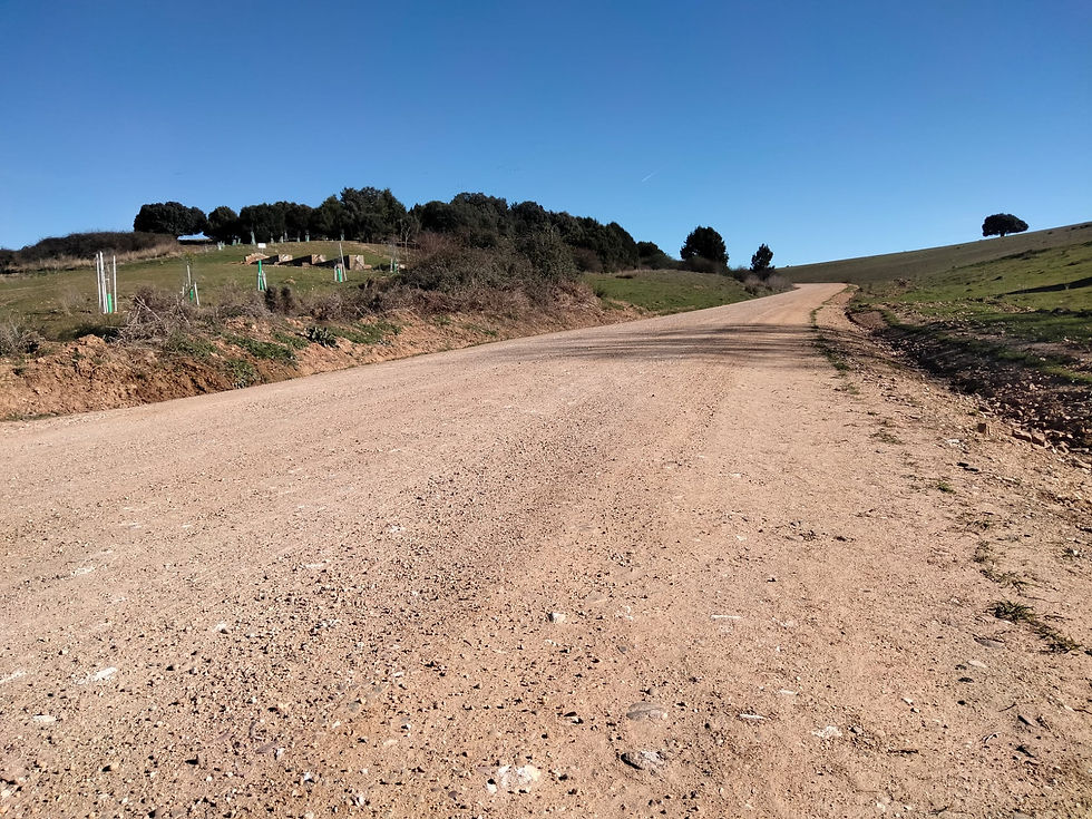 Camino a las Renovillas. 27-3-26. Foto Luis Ángel
