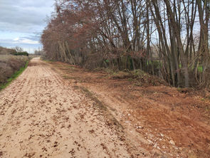 Arreglo en el camino de Lerma
