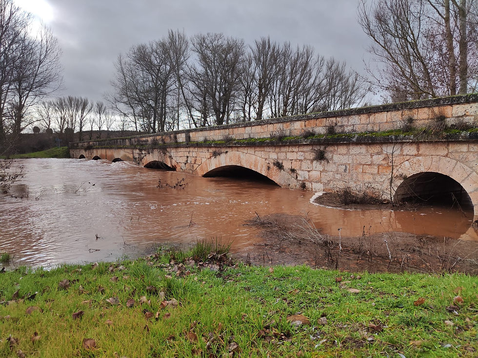 Situación a las 10:30 del Arlanza en el puente. Foto Isra Yáñez 