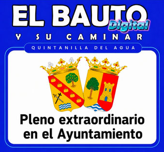 Pleno del Ayuntamiento