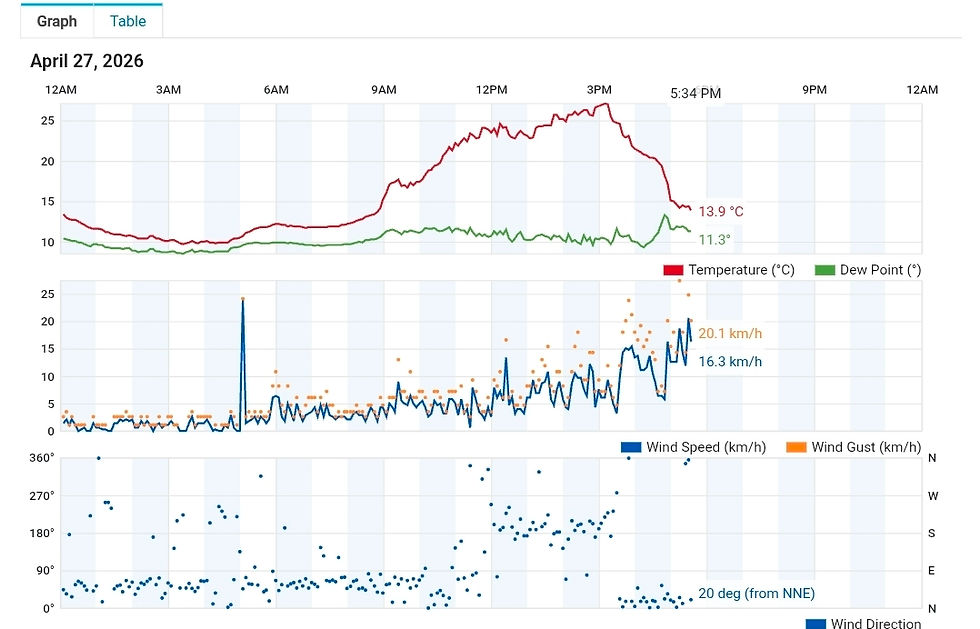 Gráficos de la E.M. Territorio Artlanza, en los que se aprecia el descenso de las temperaturas brusco desde las 3, el aumento de la velocidad del viento y el cambio en la dirección del viento, de sur a norte.