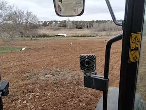 Un paseo por el campo
