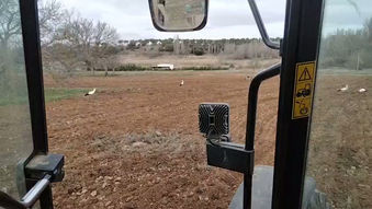 Un paseo por el campo