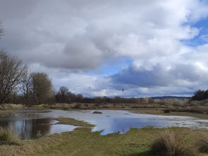 Mana la laguna del molino