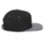 Thumbnail: Reggae Wednesday on Snapback Hat, Dark Colors