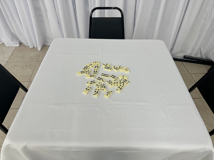 Play Dominos.