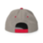 Thumbnail: Reggae Wednesday on Snapback Hat, Light Colors