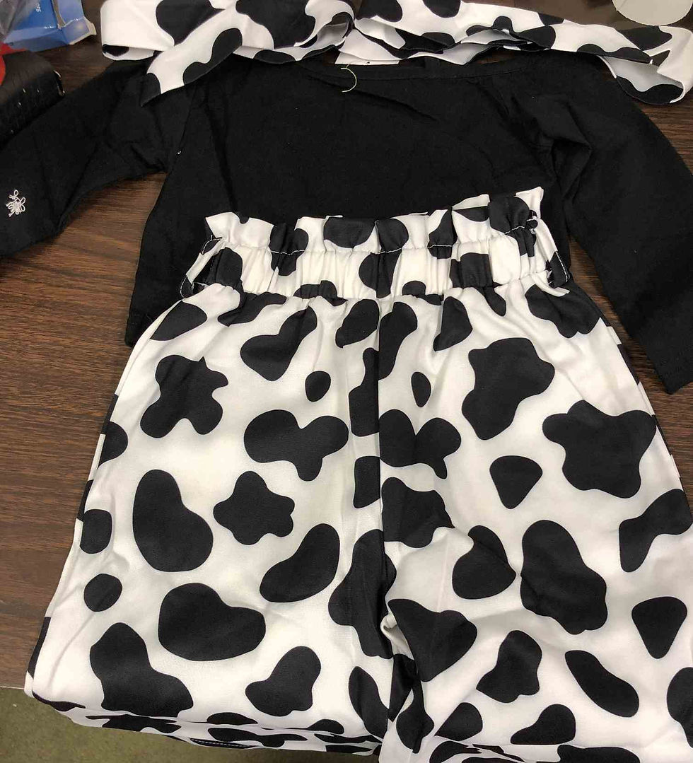 Baby Girl 18-24m Cowprint Outfit