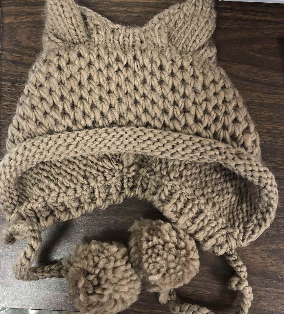 Cat Ear Winter Hat