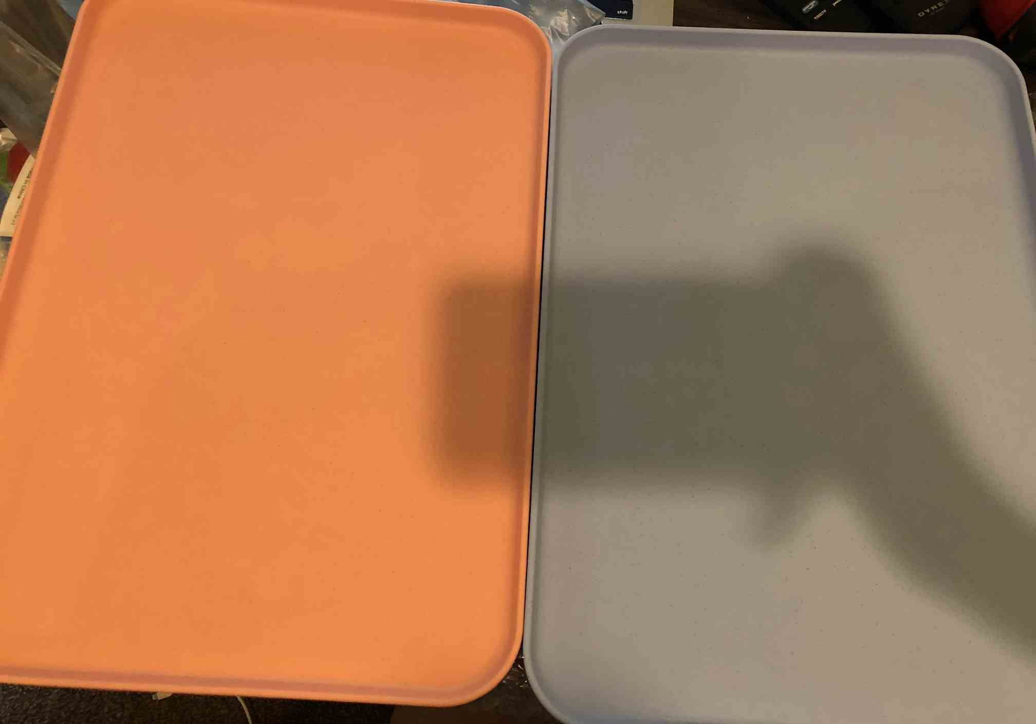 Pink and Blue Trays (6-Pack)