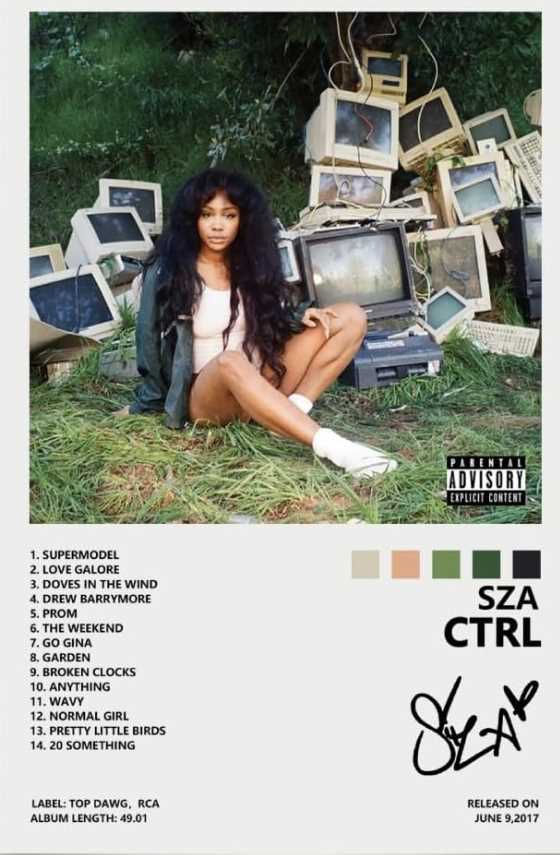 Sza Canvas Posters (12x18in) - platinum ctrl