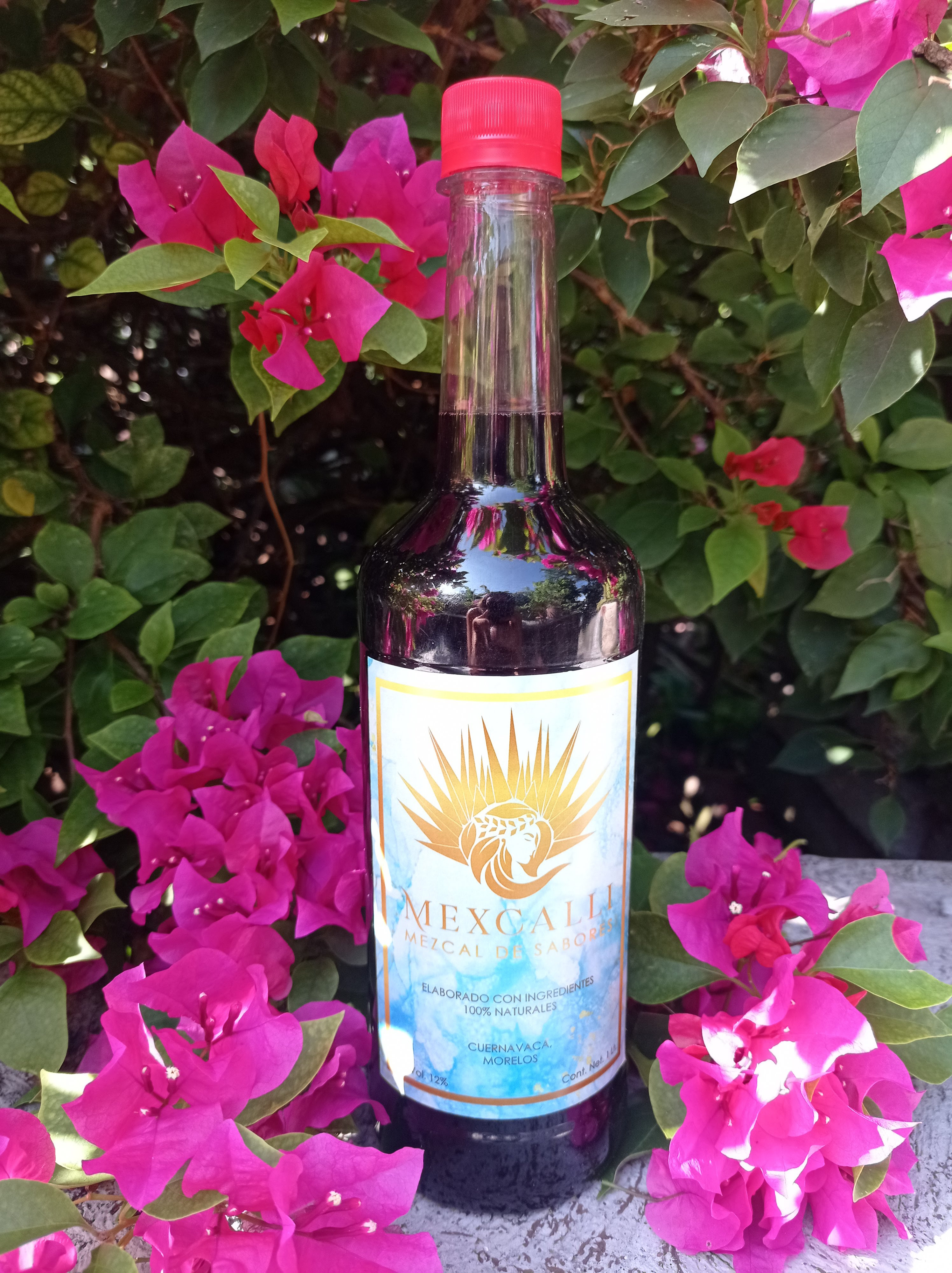 Mezcal Jamaica
