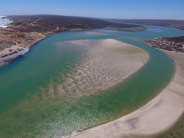 olifants estuary north bank .jpeg