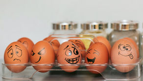 Patterns in 60 management teams