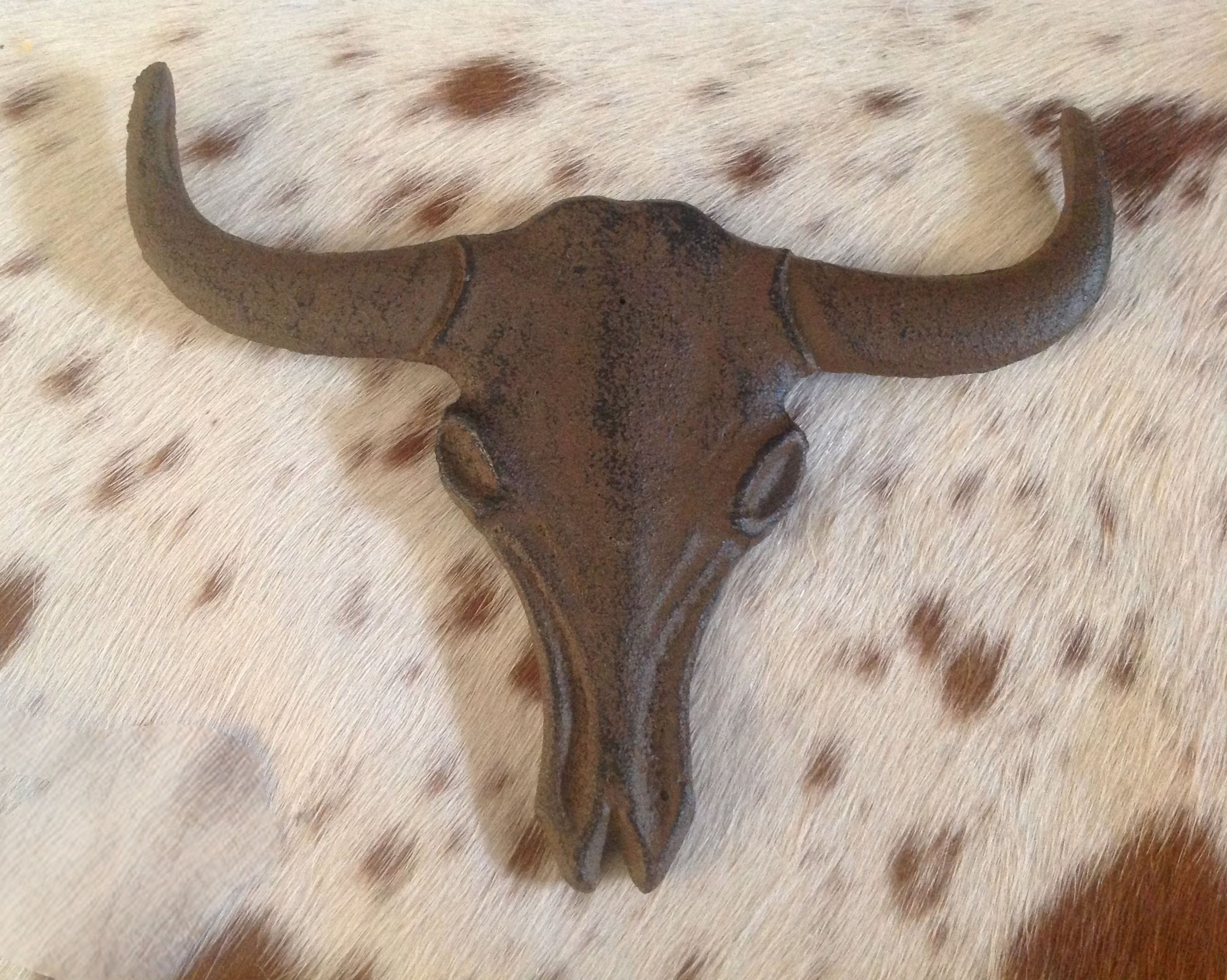 Bronze Cattle Head