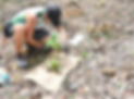 TGE Tree Planting.png