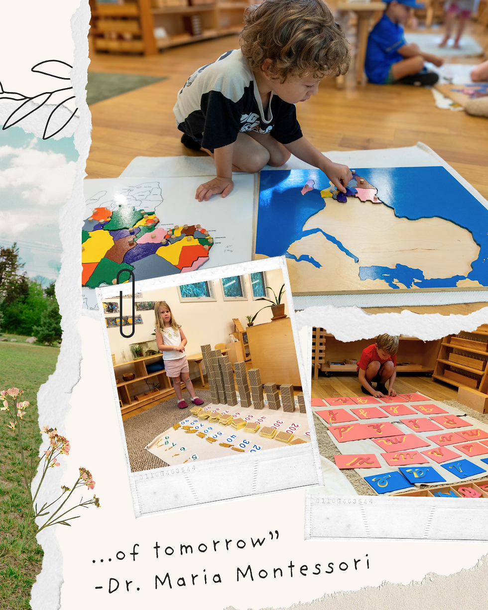 State of Abintra Social: Board Hosted Community Connection