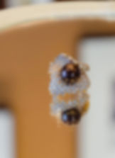 Diamond Ring Tahiti Brown Pearl