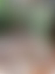 Why People, Corporates, and Organizations Choose MakerScape