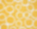 Premier Prints Dandelion Slub White and