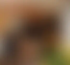 Wir lassen Taten sprechen