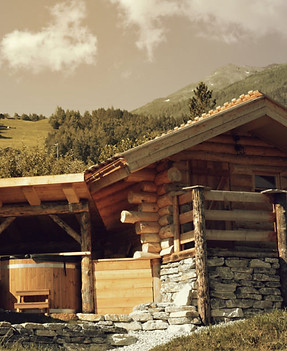 Wellness-900x600.jpg