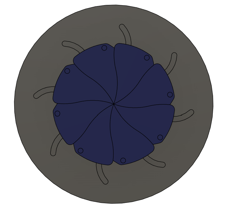 Bottom Plate of the Slotted Iris