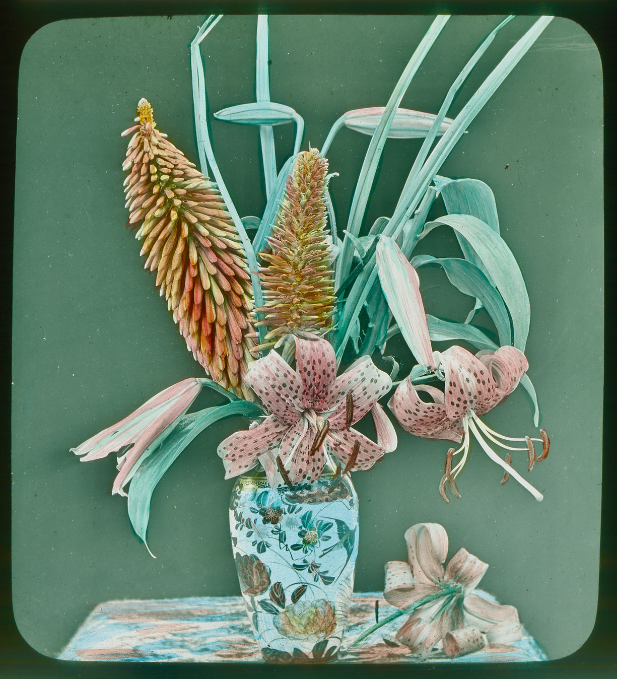 Red hot Pokers and lillies_ (7).jpg