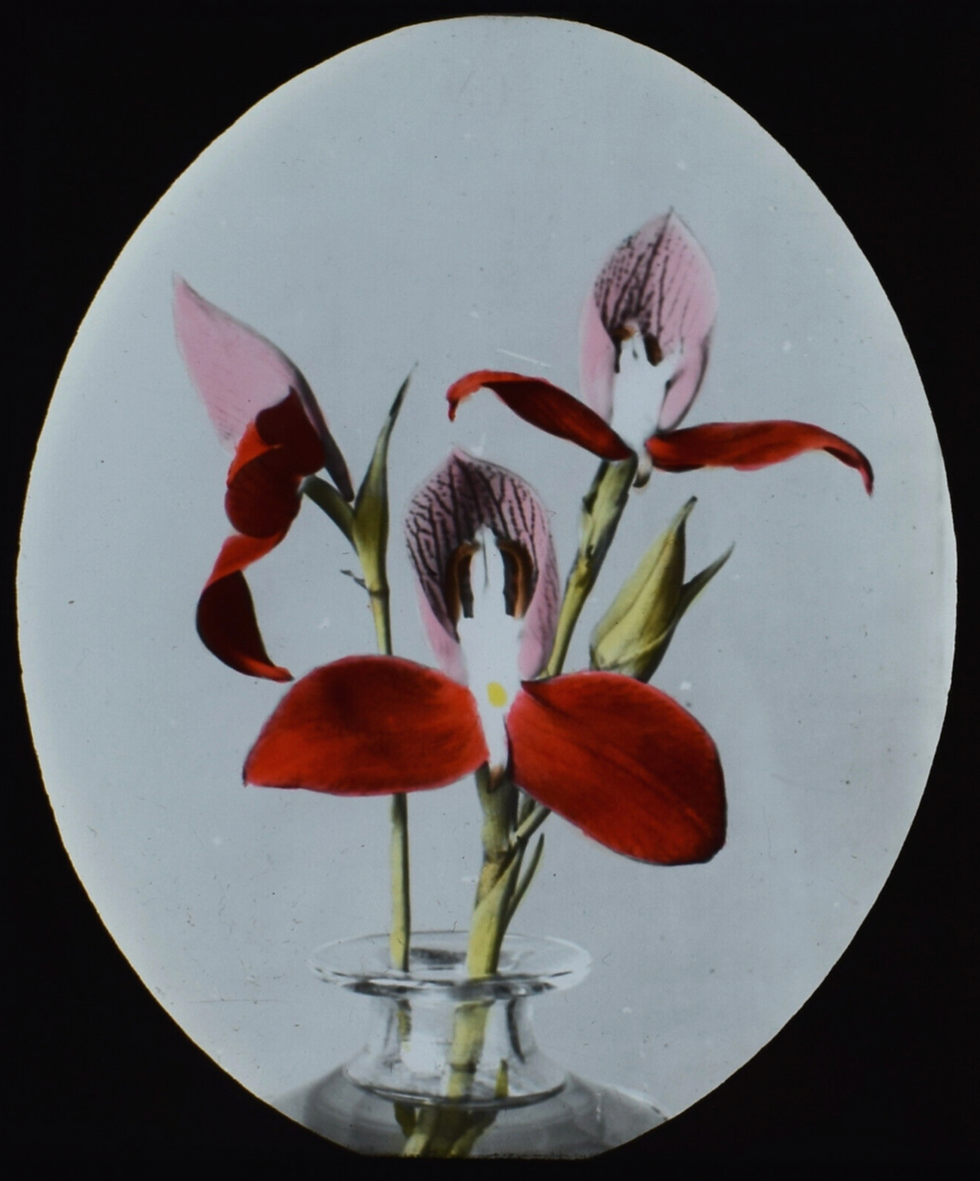 Screenshot 2025-03-11 at 12.07.37