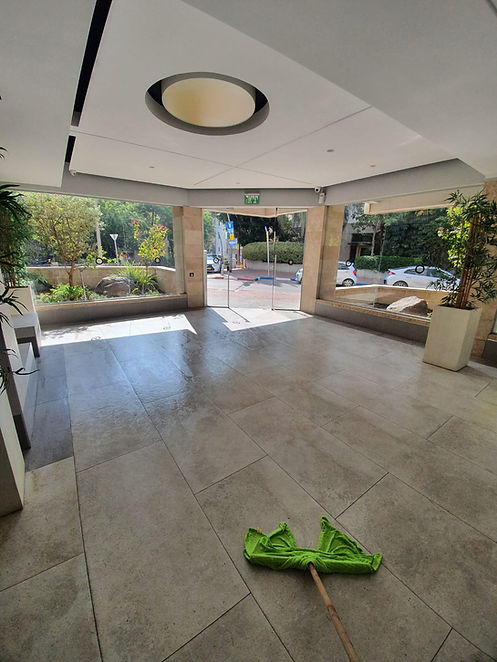 לובי מבריק.jpg