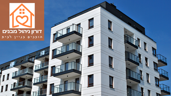 דורון ניהול מבנים - לוגו רקע לשולחן עבודה.png