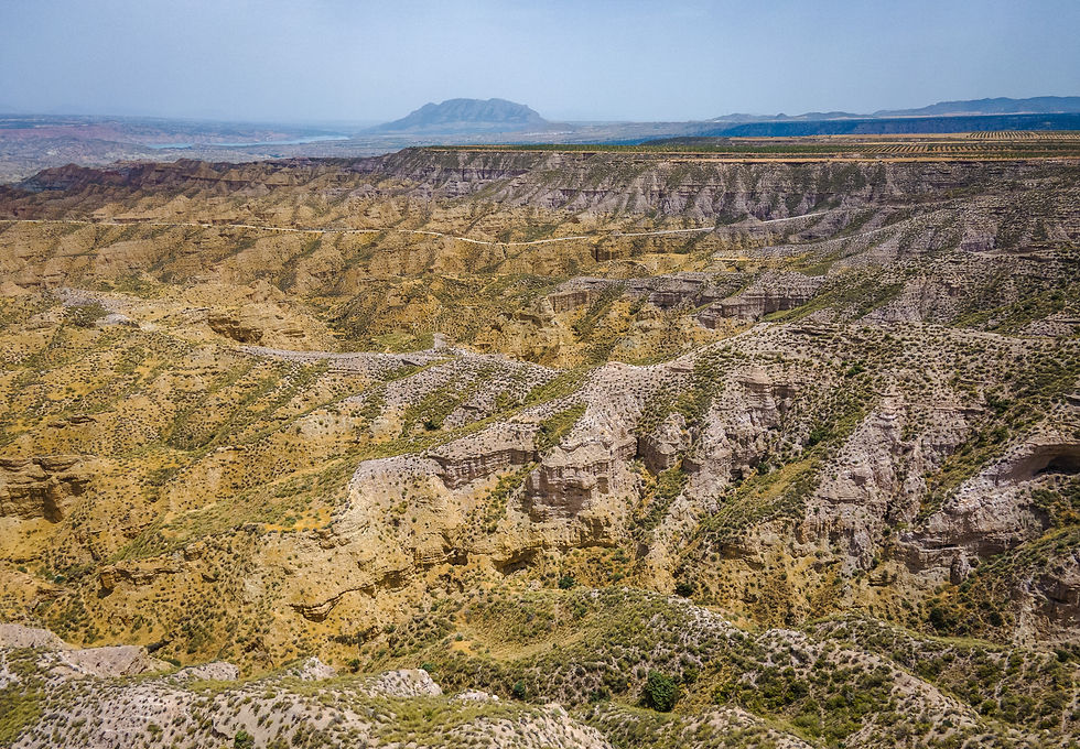 The Gorafe Desert