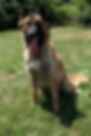 raika (2)