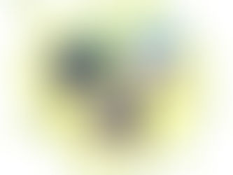 Exciting News: Our new charity raffle