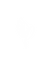 Bird.png