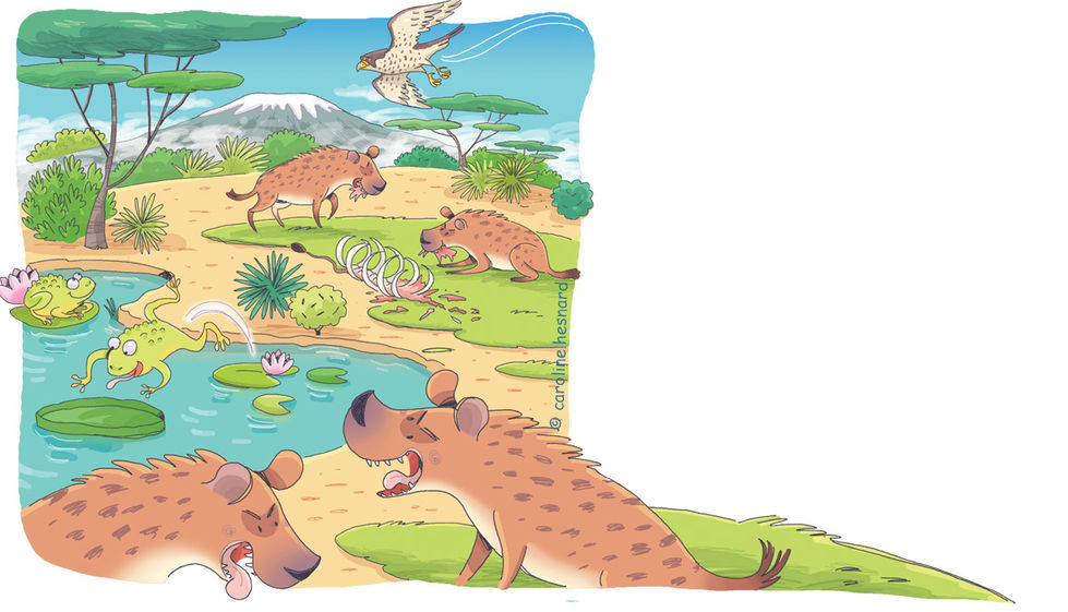 un paysage en Afrique avec le Kilimanjaro en arrière-plan .
Des hyènes rigolent et s’alimentent sur une carcasse.
Dans un point d'eau des grenouilles sautent de nénuphar en nénuphar .
Un rapace vole dans un ciel bleu
