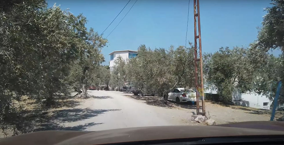 Çam Kamping Yol