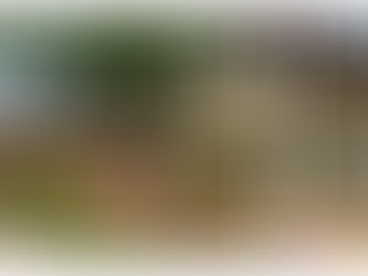 Pearl Serenity Garden