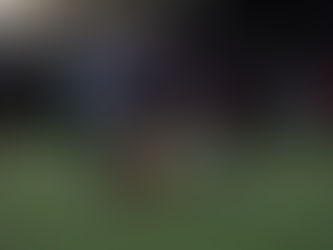 Introduction: why shortstops should care about PAPE & biotensegrity